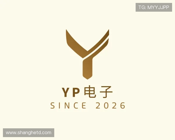 发现YP电子