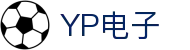YP电子集团股份有限公司